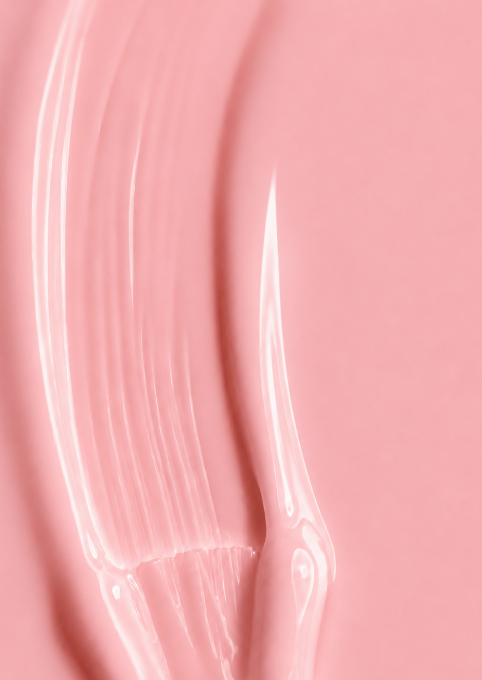 Rose Tendre